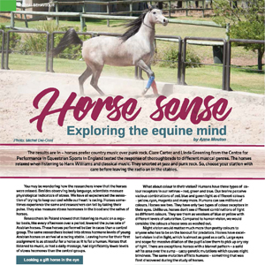 201805 MARKtoe article: Horse sense by Anna Mouton.