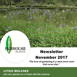 201711 Fairholme Plants newsletter: Lithic mulches. Writer and designer Anna Mouton.