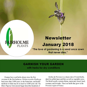 201801 Fairholme Plants newsletter: Garnish your garden. Writer and designer Anna Mouton.