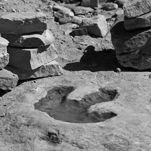 Stock photo of dinosaur footprint for Pokémon Go for paleontologists written by Anna Mouton. Photo by Greg Willis.