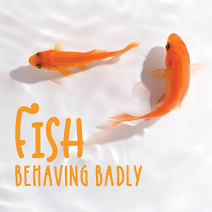 201810 MARKtoe article: Fish behaving badly by Anna Mouton.
