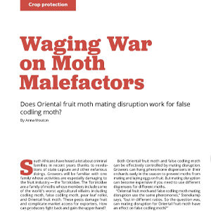 201912 Fresh Quarterly article. Waging war on moth malefactors: does Oriental fruit moth mating disruption work for false codling moth? by Anna Mouton.