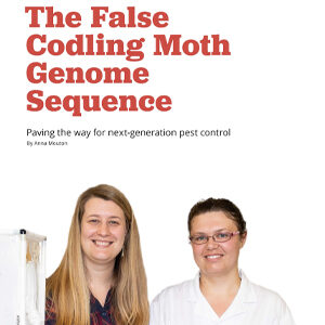 201912 Fresh Quarterly article. The false codling moth genome sequence: paving the way for next generation control by Anna Mouton.