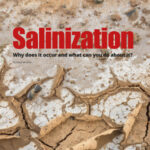 201909 Fresh Quarterly article. Salinization: why does it occur and what can you do about it? by Anna Mouton.